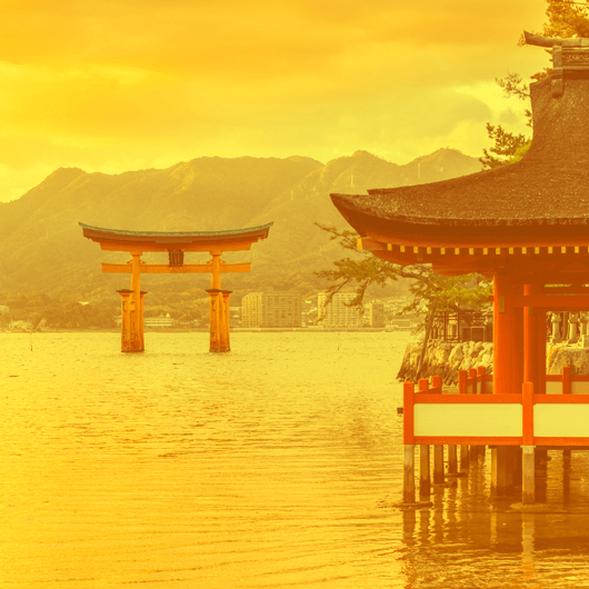 Локшина WOK з соусом «Курка Теріякі»